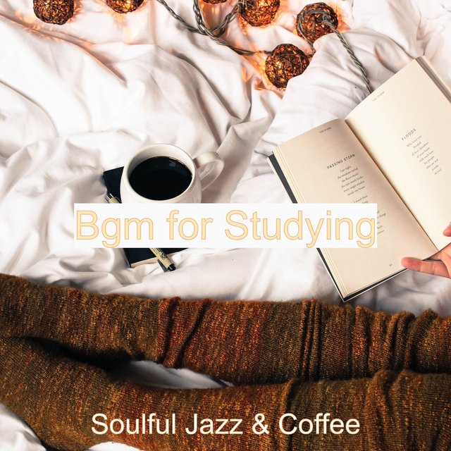 Bgm for Studying