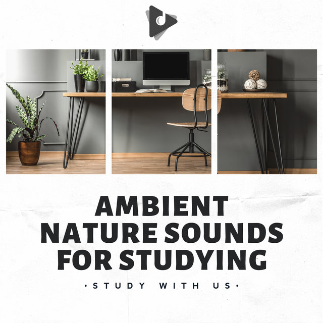 Ambient Nature Sounds for Studying