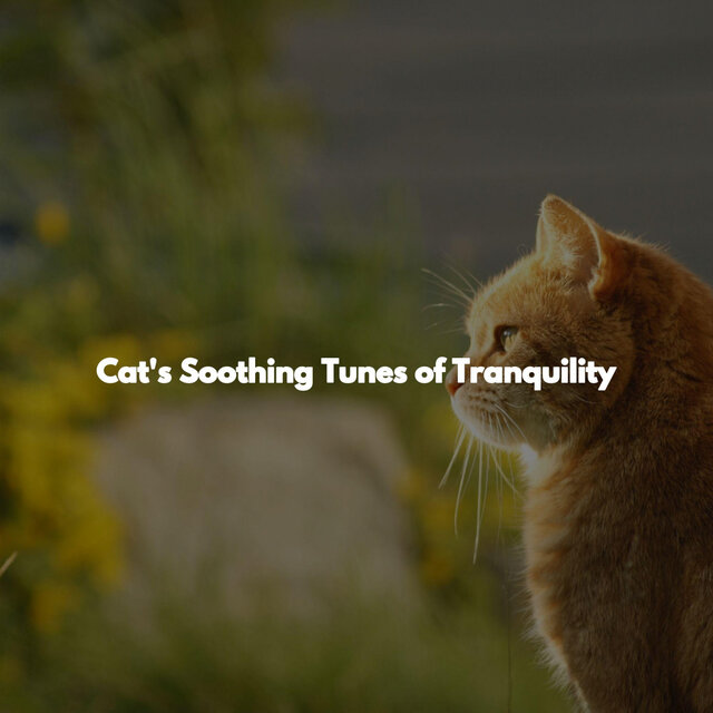 Cat's Soothing Tunes of Tranquility