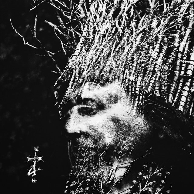 Cover art for album ZI by Negura Bunget