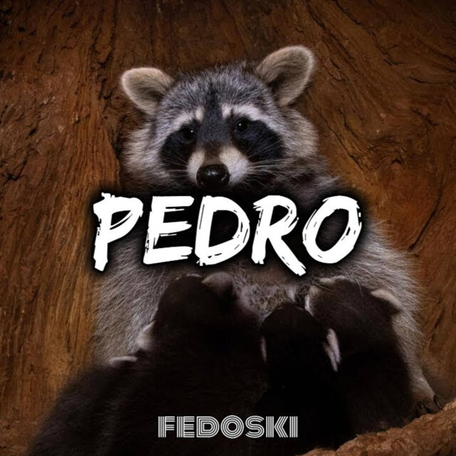 Pedro (Aleteo House)