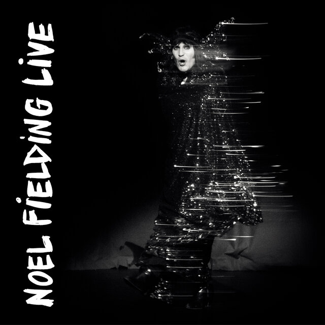 Noel Fielding Live
