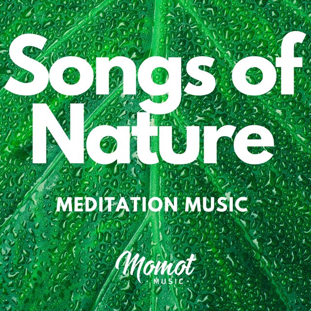Songs of Nature