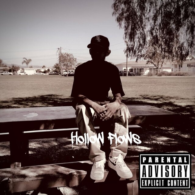 Hollow Flows