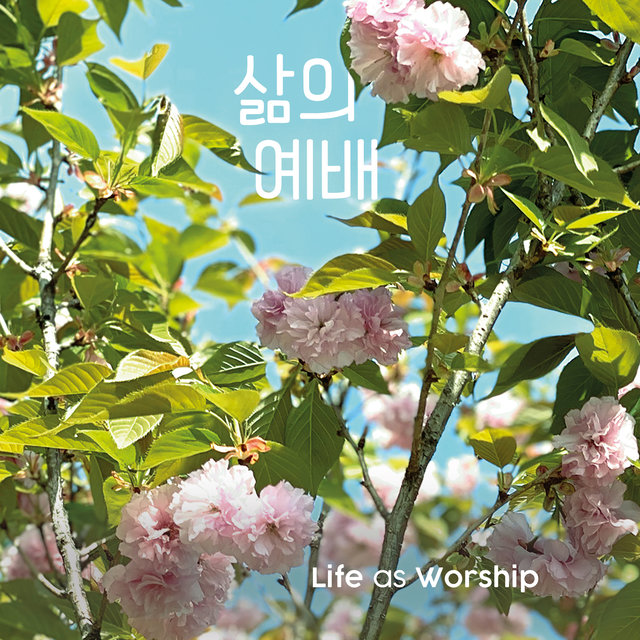 삶의 예배 (시편 63편) Life as Worship (Psalms 63)