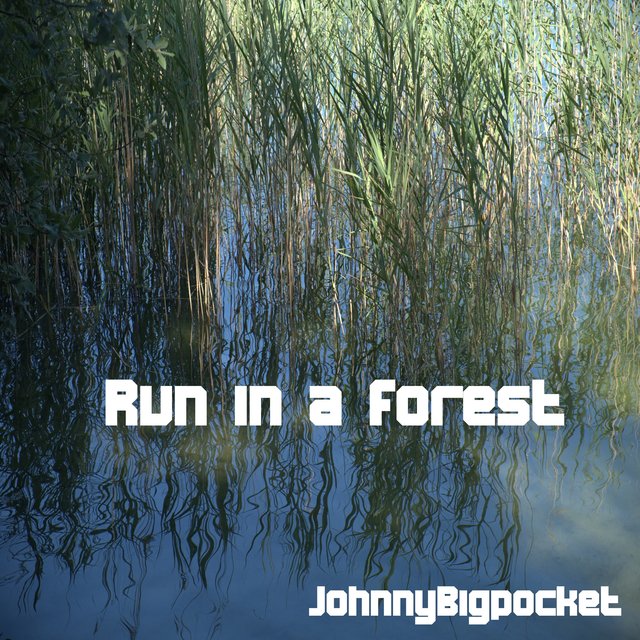 Run in a forest