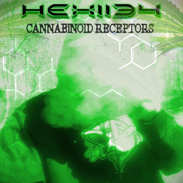 Cannabinoid Receptors