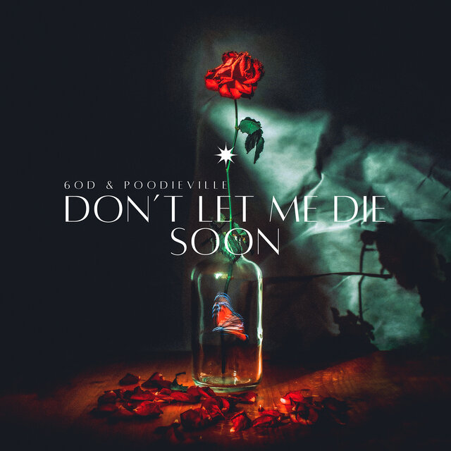 Don’t Let Me Die Soon