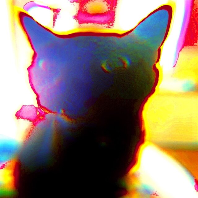 CROW (Freestyle)