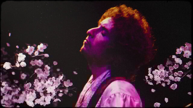I Want You (Live At Budokan, Tokyo, Feb 28, 1978)