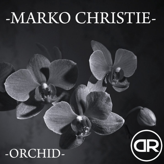 Orchid