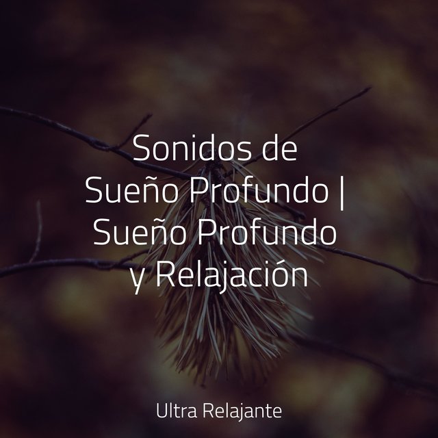 Sonidos de Sueño Profundo | Sueño Profundo y Relajación