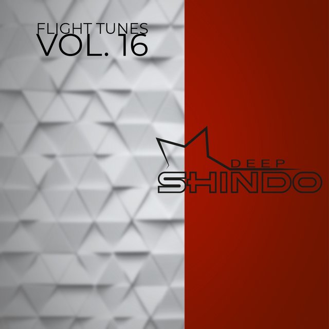 Flight Tunes Vol.16
