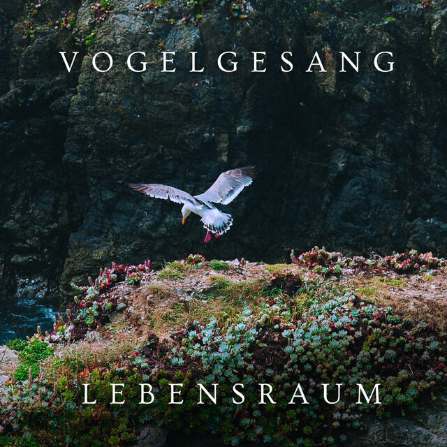 Vogelgesang Lebensraum