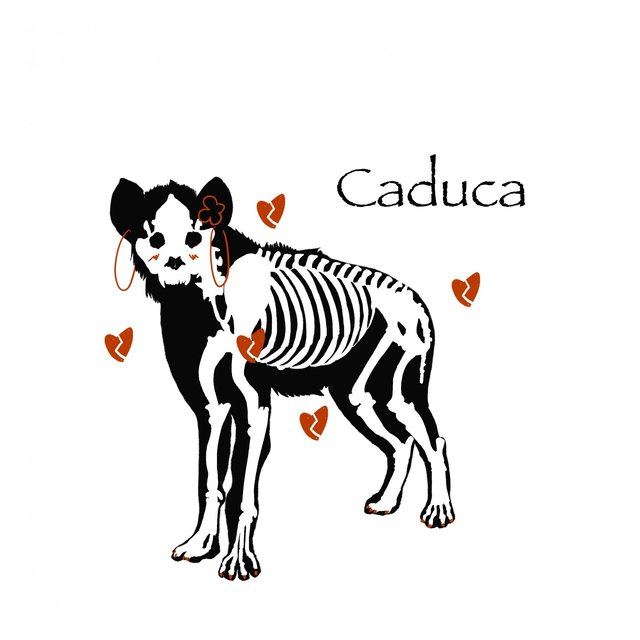 Caduca