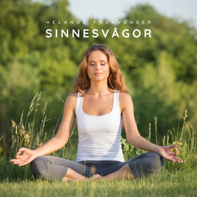 Sinnesvågor: Binaurala Beats