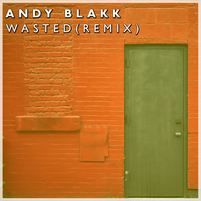 Wasted (Remix)