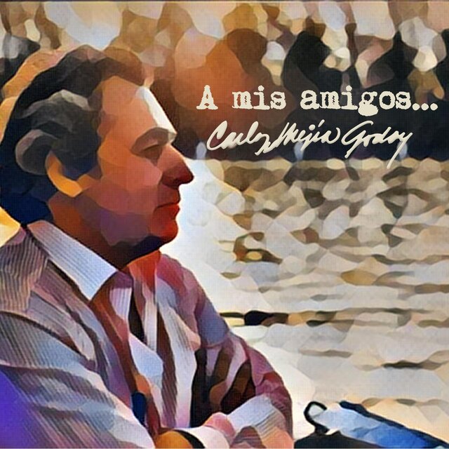 A mis amigos...