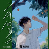 少年的夏天