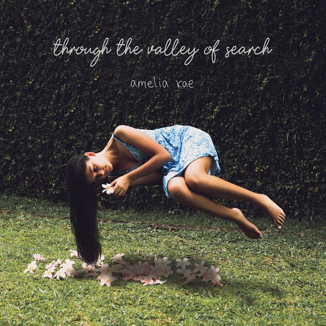 through the valley of search