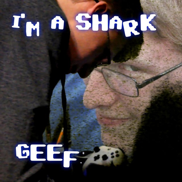 I'm a Shark