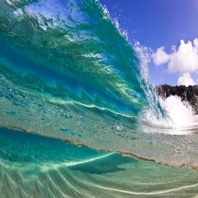 Save the Oceans