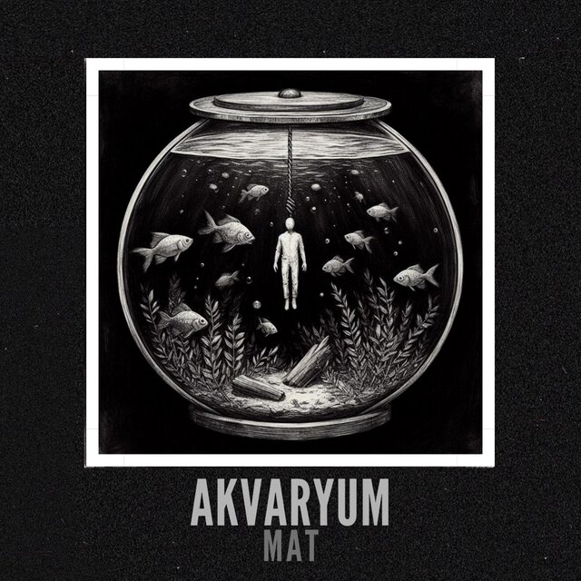 Akvaryum