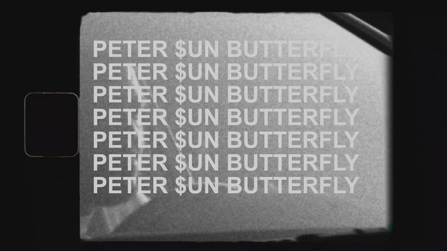 Metamorphosis (Butterfly)