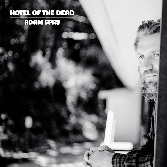 Hotel Of The Dead