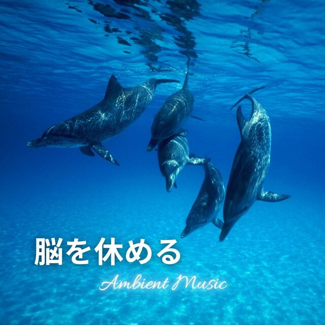 Ambient Music to Rest the Mind