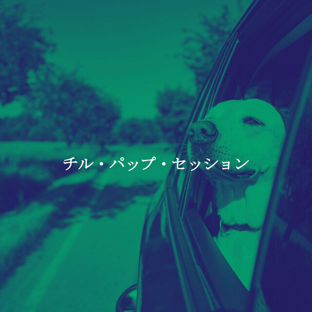 チル・パップ・セッション