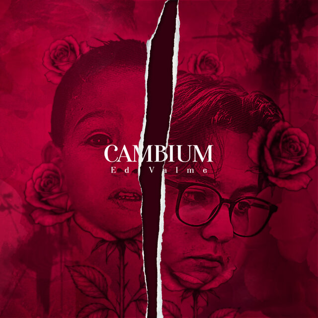 Cambium