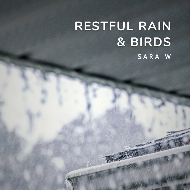 Restful Rain & Birds