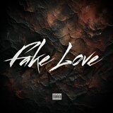 Fake Love