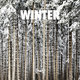 Cover art for album Winter by Fleet Foxes