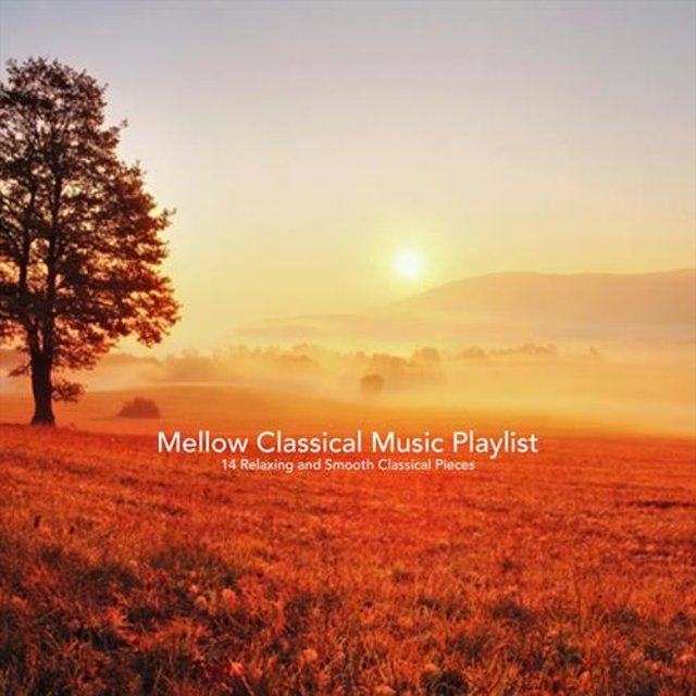 Mellow Classical Music Playlist:14 Relaxing and Smooth Classical Pieces