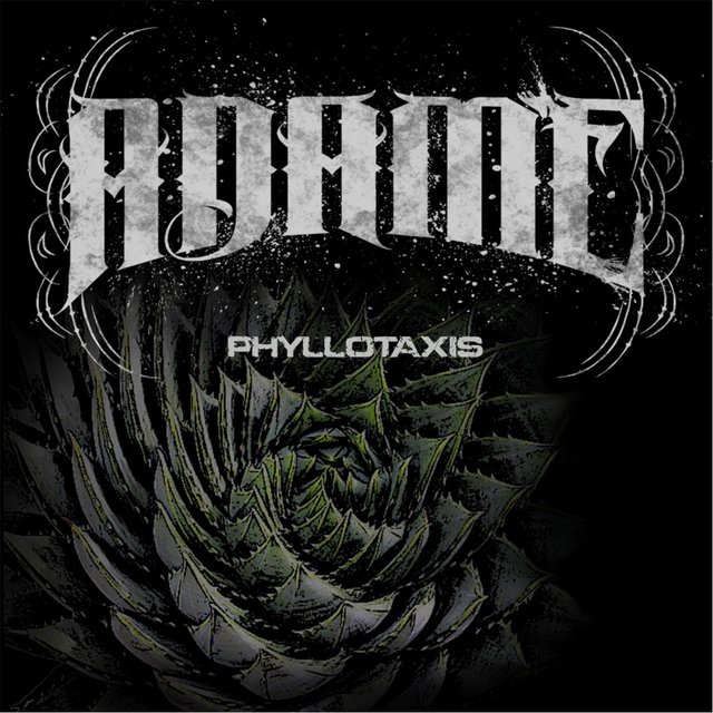 Phyllotaxis I