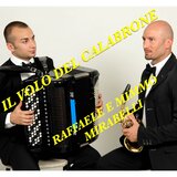Il volo del calabrone