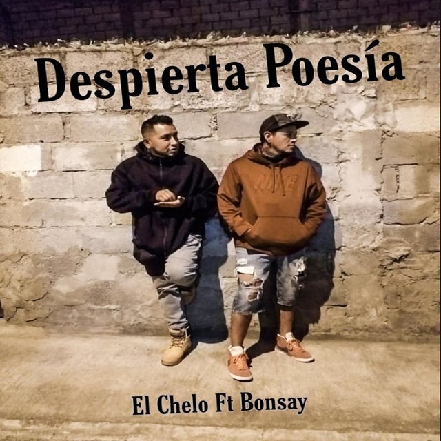 Despierta Poesía (con Bonsay)