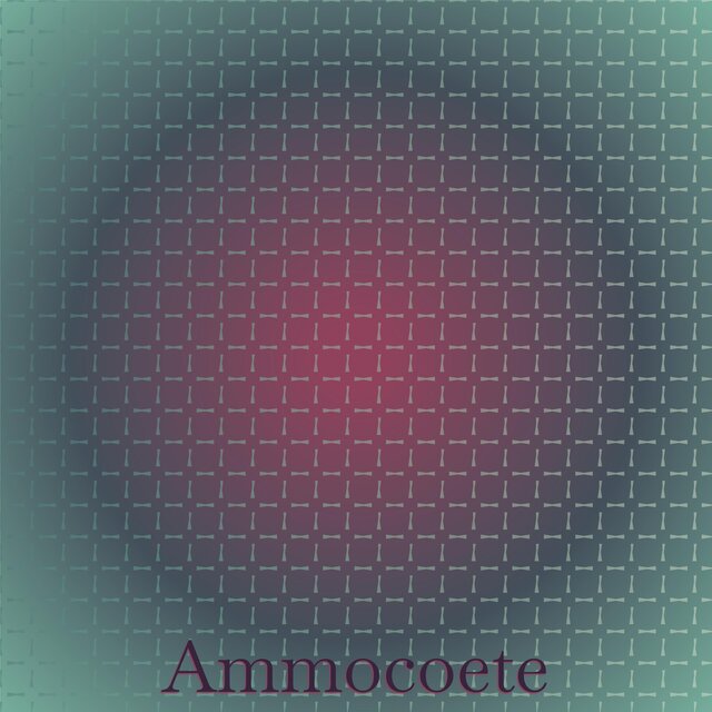 Ammocoete