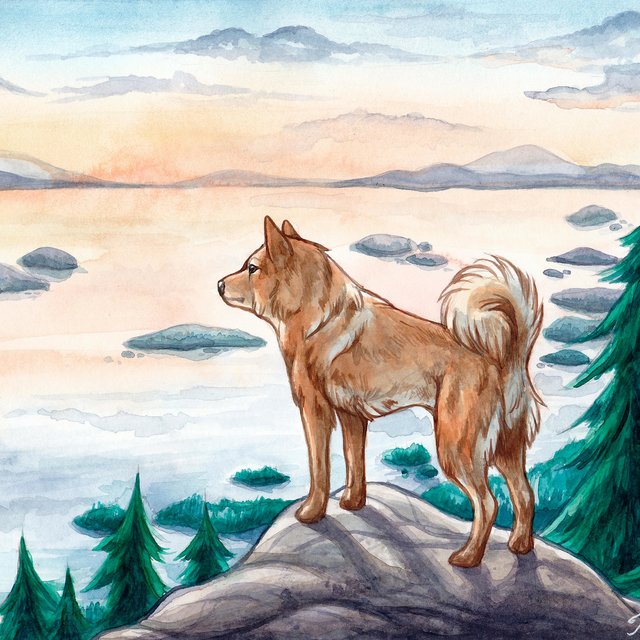 Suomenpystykorva EP