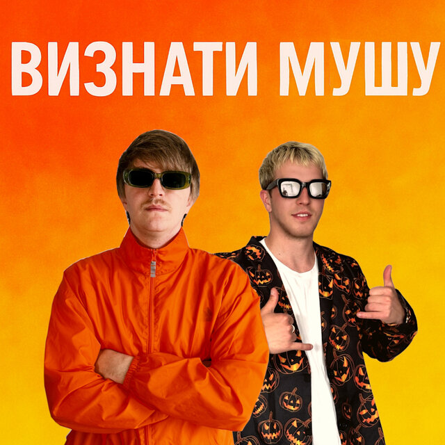 ВИЗНАТИ МУШУ