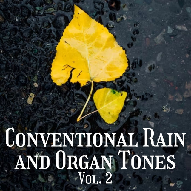Conventional Rain and Organ Tones Vol. 2