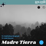 Madre Tierra (feat. 4AM) (Remix)