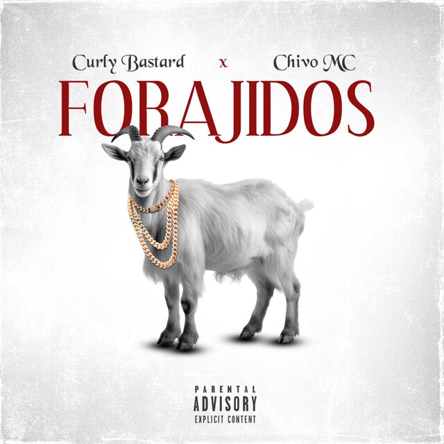FORAJIDOS