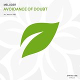 Avoidance of Doubt (VieL Remix)