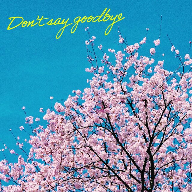 Don't say goodbye