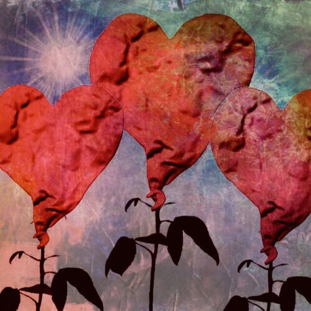 Love Me Not.