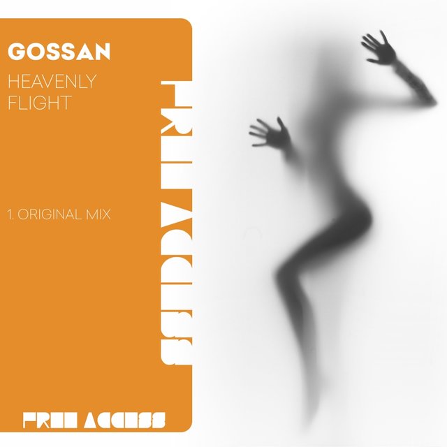 Heavenly Flight