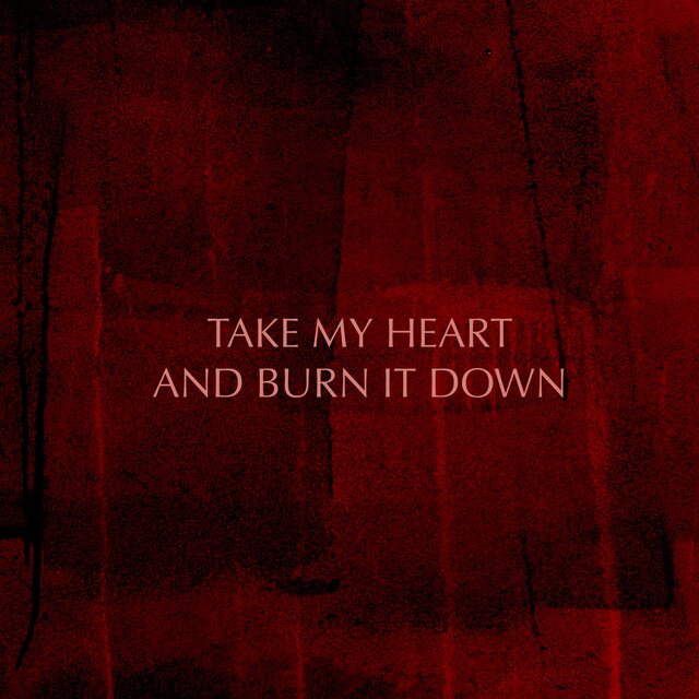 Take My Heart and Burn It Down